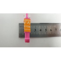 Primary Science