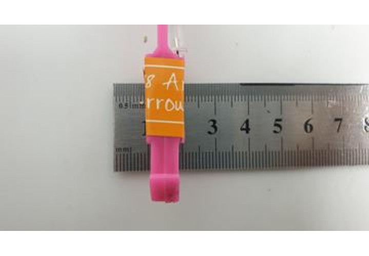 Primary Science