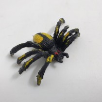 Science Toys