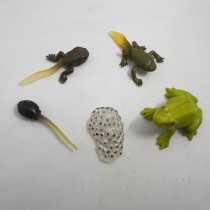 Science Toys