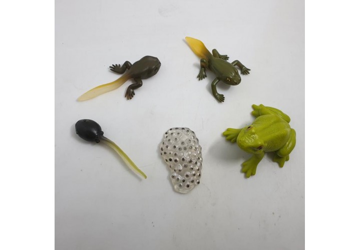 Science Toys