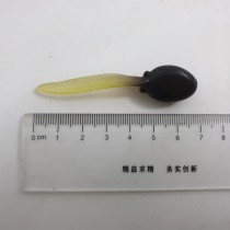 Science Toys
