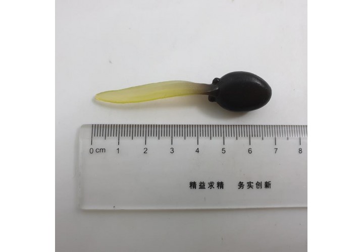 Science Toys