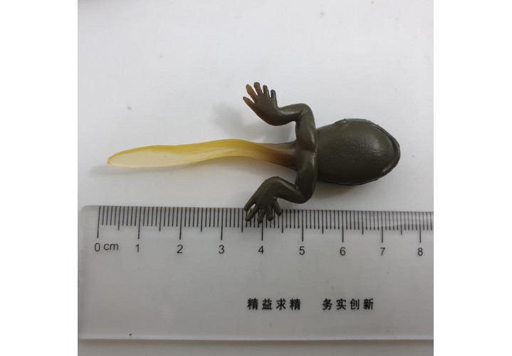 Science Toys