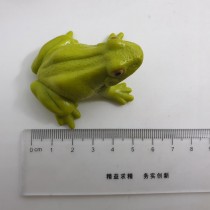 Science Toys