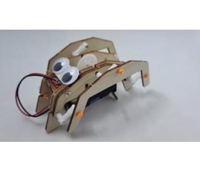 DIY robot insect