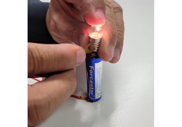 primary science