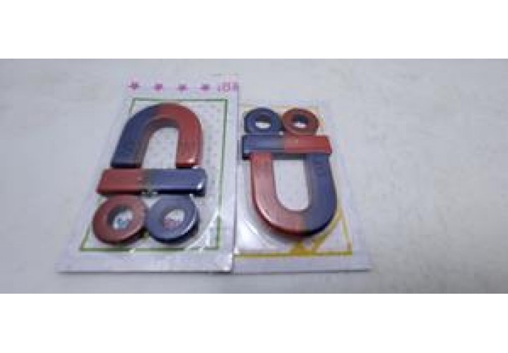 primary science