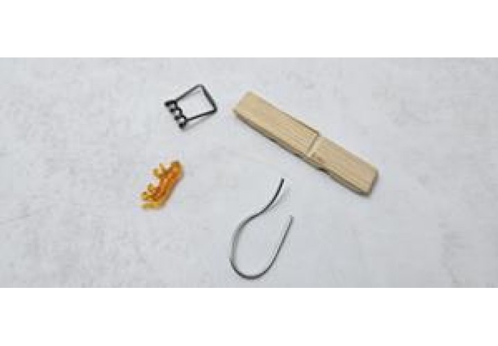 primary science