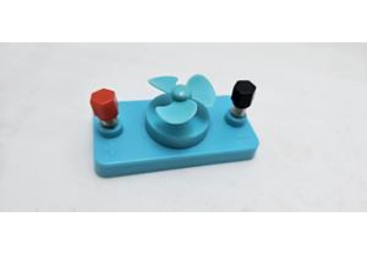 primary science