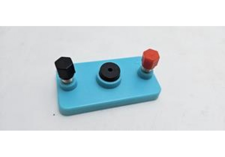 primary science