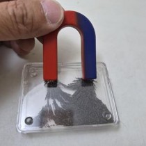 primary science