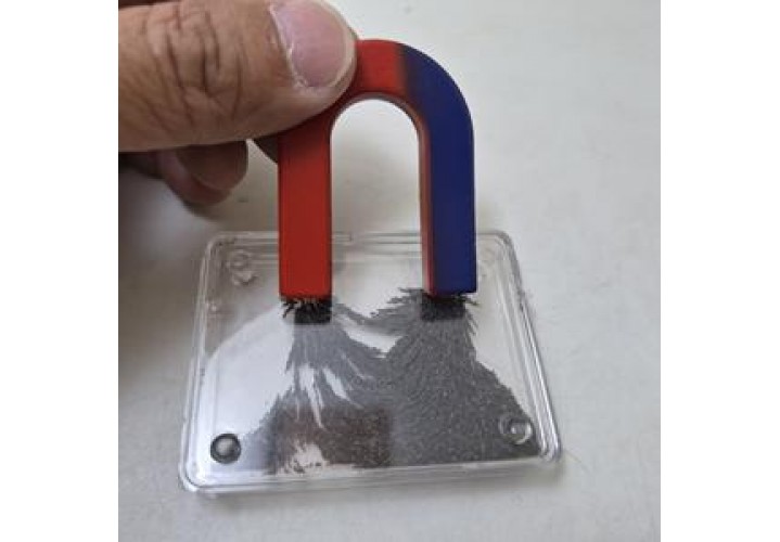 primary science