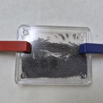 primary science