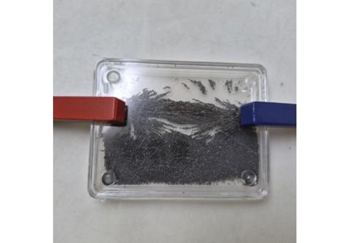 primary science