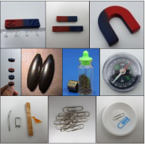 primary science