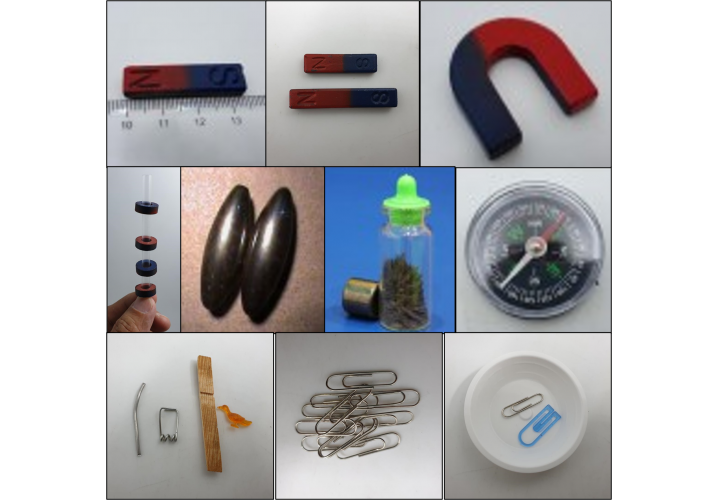 primary science