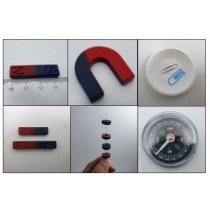 primary science