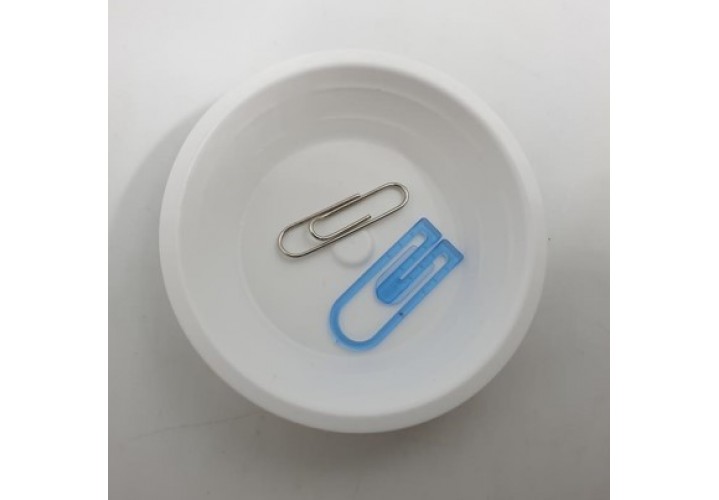 primary science