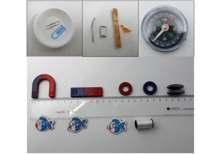 primary science
