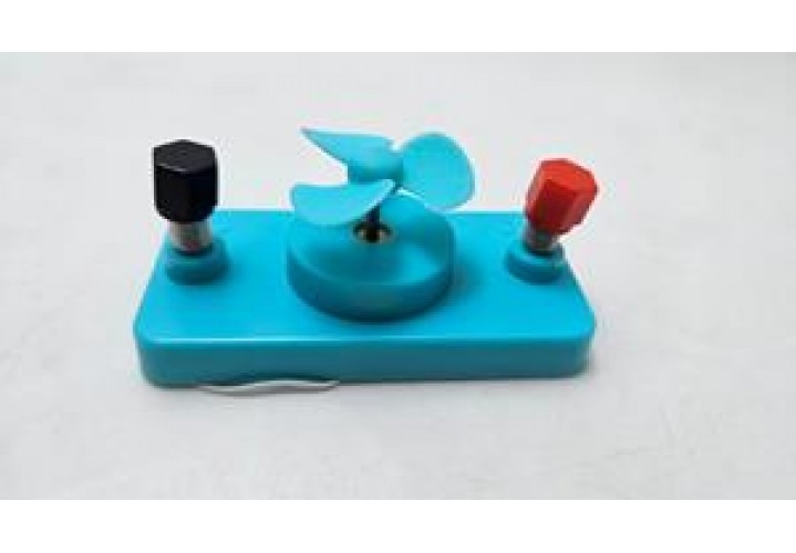 primary science