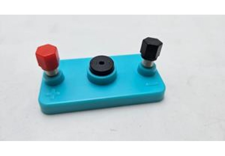 primary science