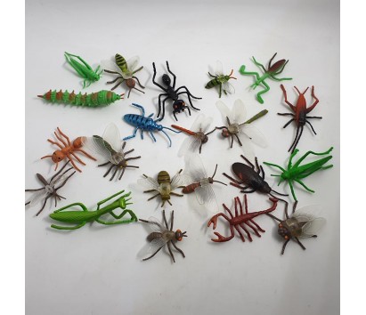 Insect and non-insect models (22 pieces)
