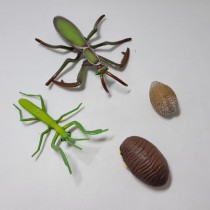 Science Toys