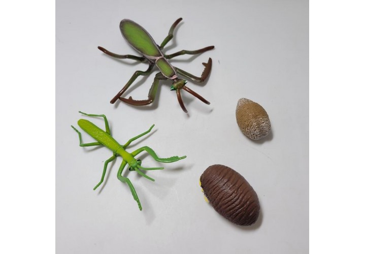 Science Toys