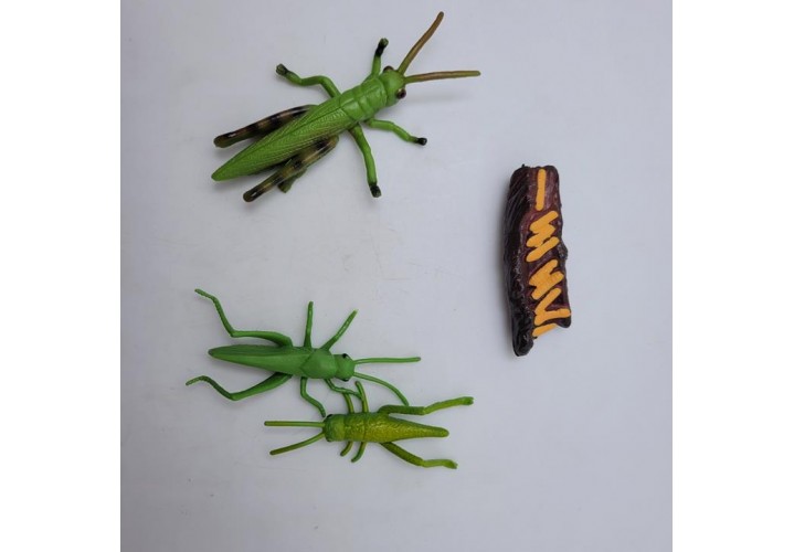 Science Toys