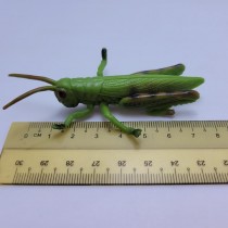 Science Toys