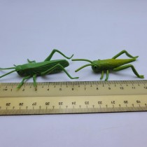 Science Toys