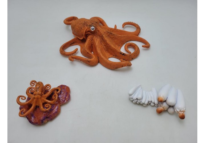 Science Toys