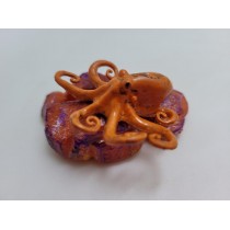 Science Toys