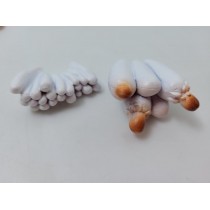 Science Toys