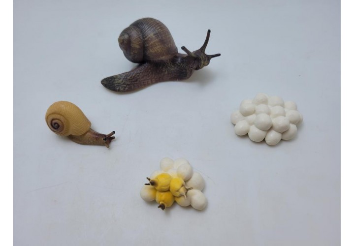 Science Toys