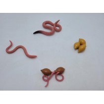 Science Toys