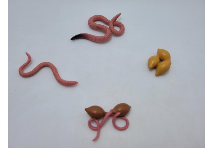 Science Toys