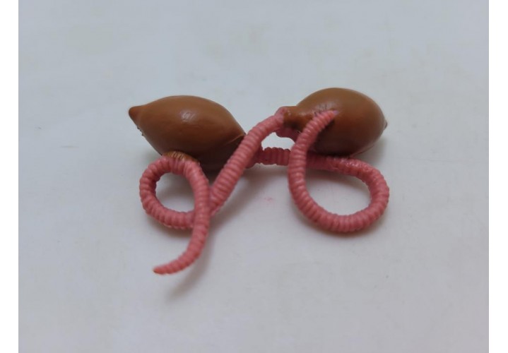 Science Toys