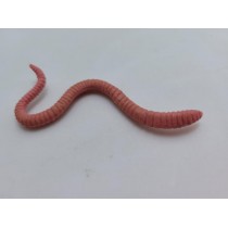 Science Toys