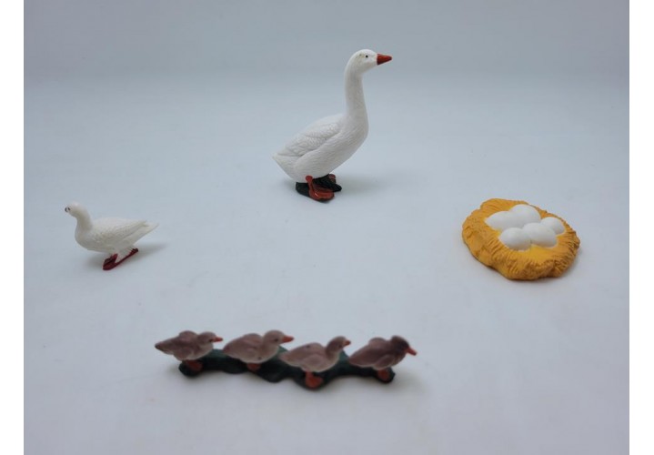 Science Toys