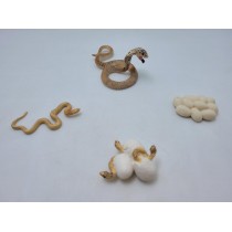 Science Toys