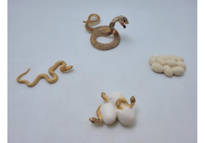 Science Toys