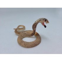 Science Toys