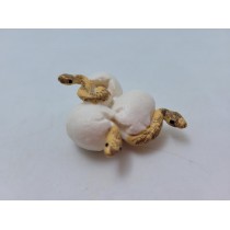 Science Toys