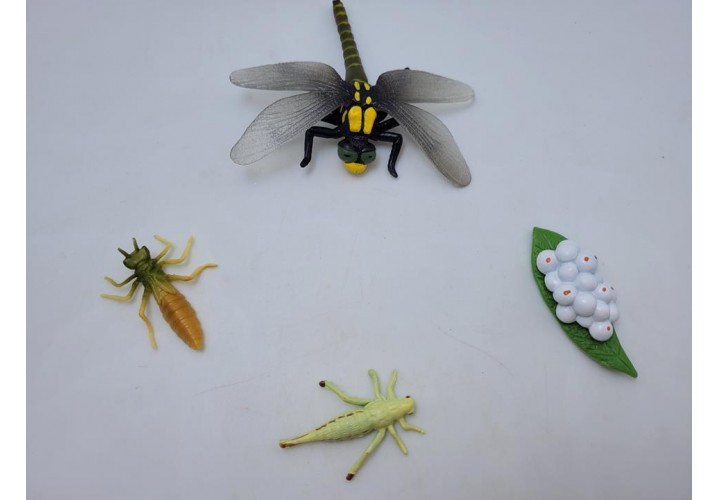 Science Toys