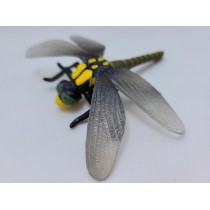 Science Toys