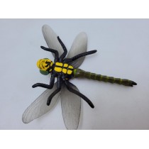 Science Toys