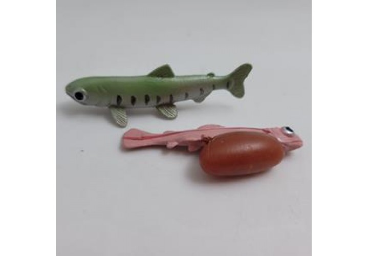 Science Toys