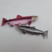 Science Toys